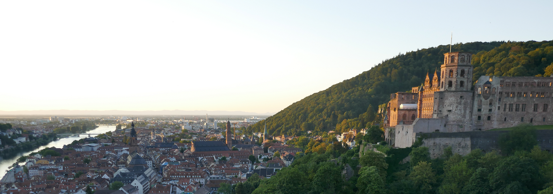 Gesunde Zähne ein Leben lang